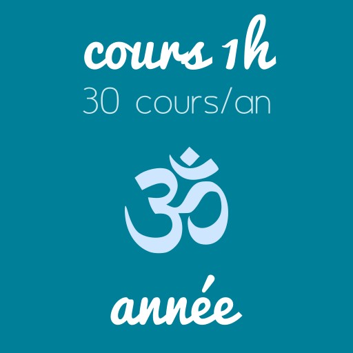 Année - Cours d’1h enfants-ados (30 cours/an)